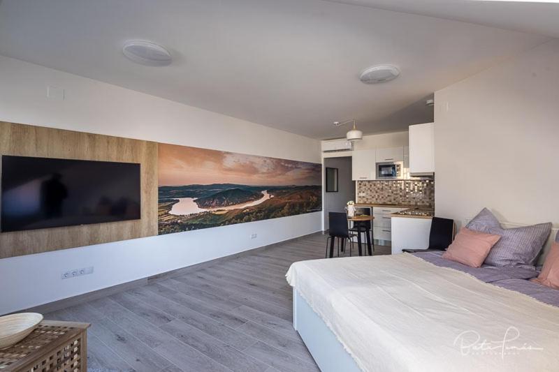 Stafetahaz Apartmanok Vác Екстериор снимка